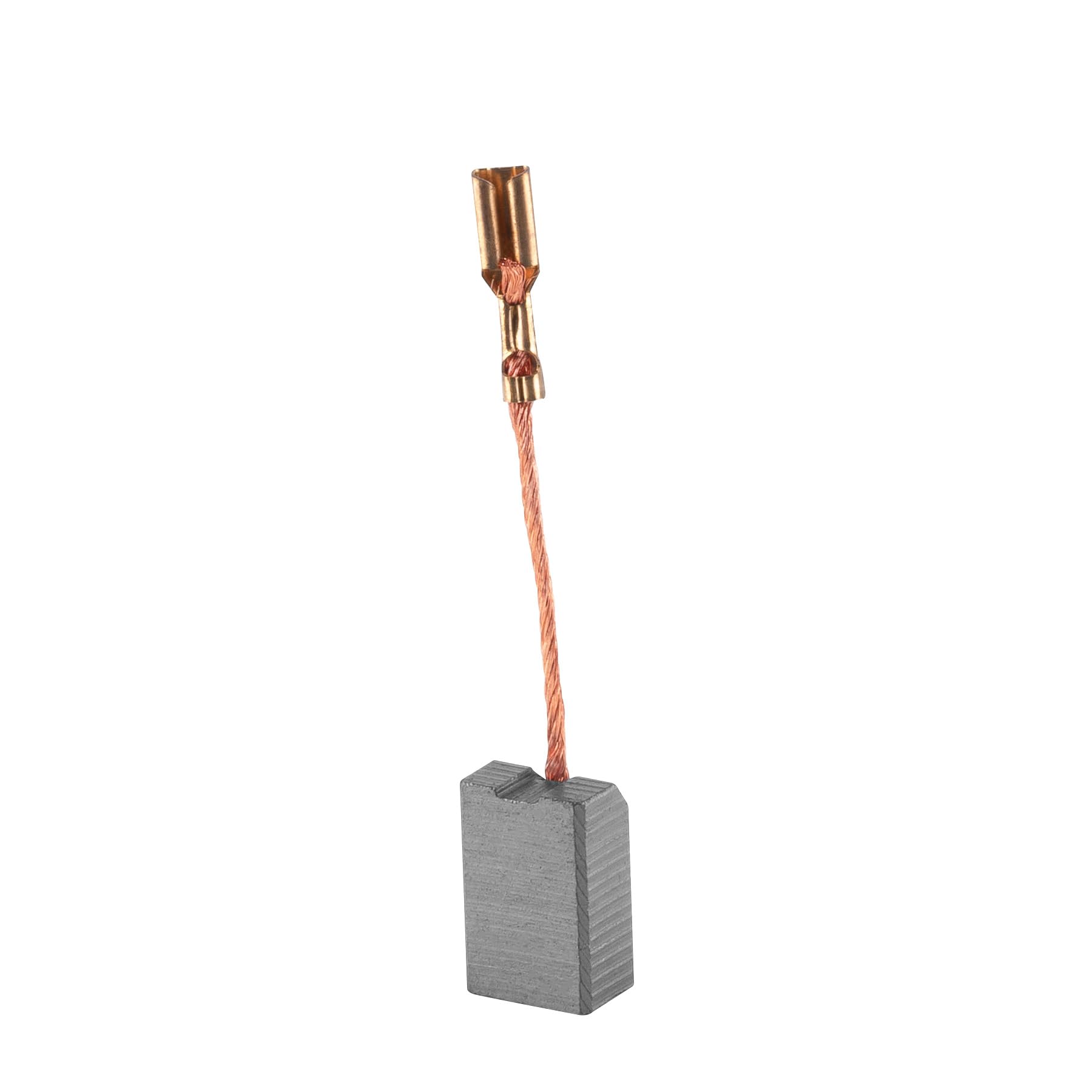 Truper CB-ROEL-60N, Bolsa con 2 carbones de repuesto para ROEL-60N