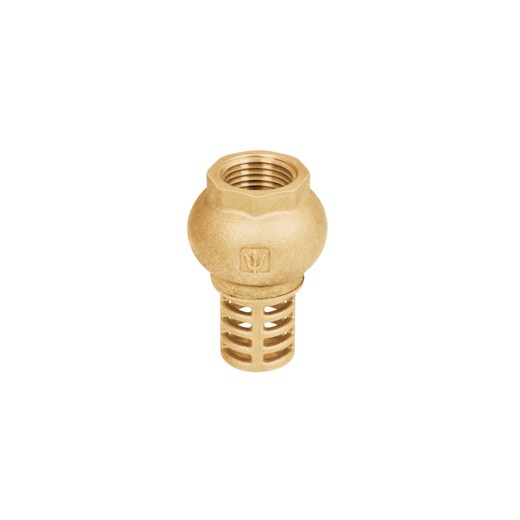 Foset PICHA-1/2X, Válvula de pie (pichancha) de 1/2″, rejilla de acero inoxidable