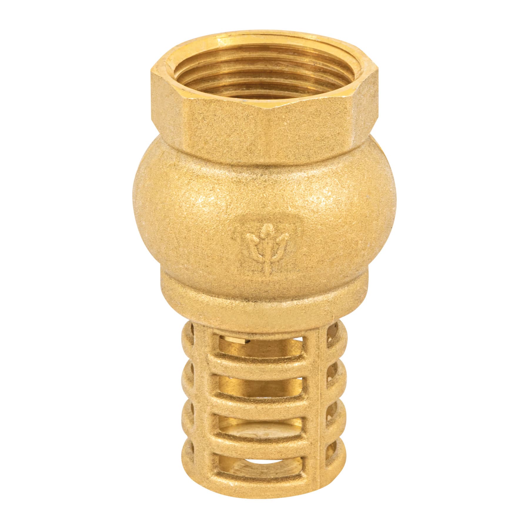 Foset PICHA-1, Pichancha con rejilla de latón, para aguas limpias, 1″