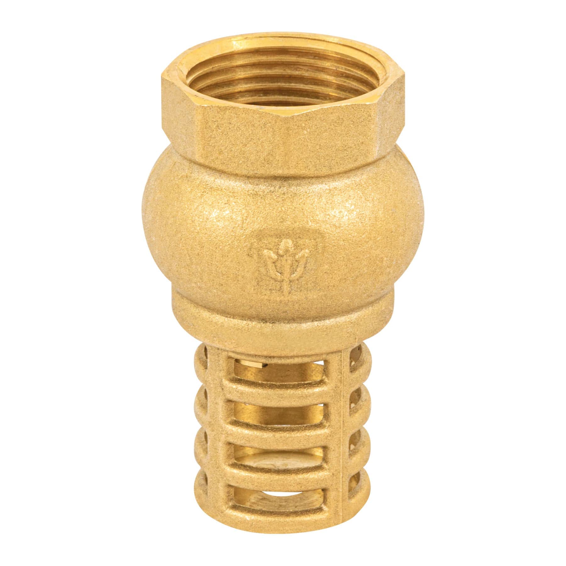 Foset PICHA-1, Pichancha con rejilla de latón, para aguas limpias, 1″