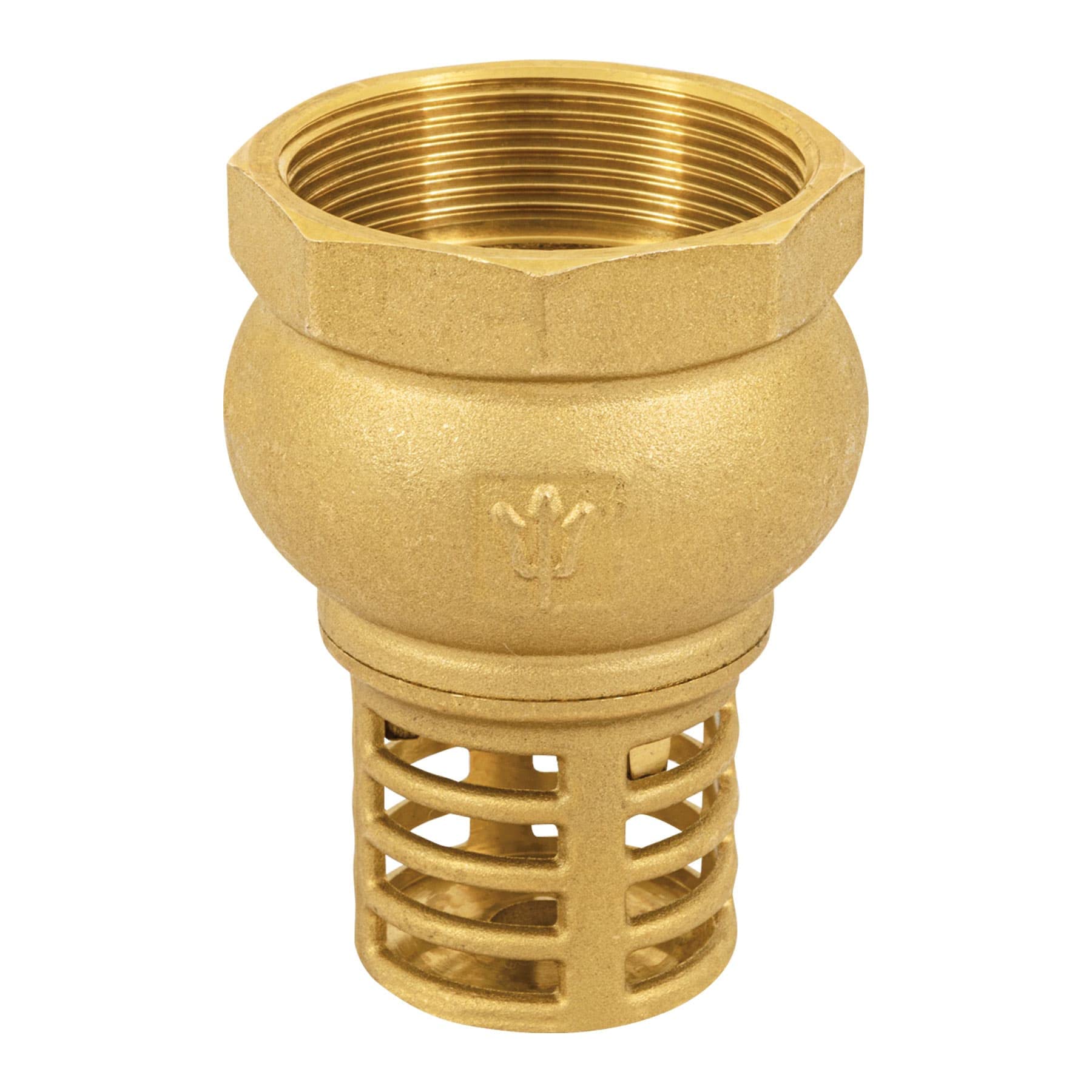 Foset PICHA-2, Pichancha con rejilla de latón, para aguas limpias, 2″